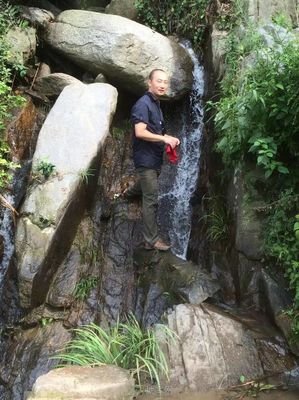 躲到山里去