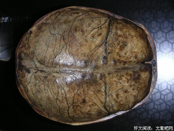 高僧