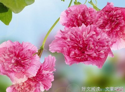 放下的智慧