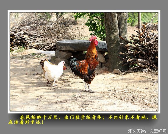 河滩的孩子说河滩