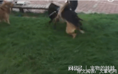 越听话越可怕