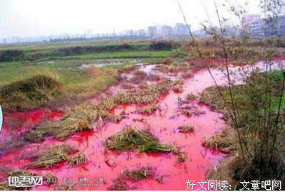 谁偷走了我们的善意