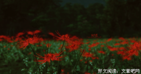 无非：落叶