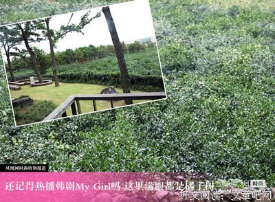 树还记得