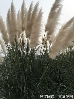 修养