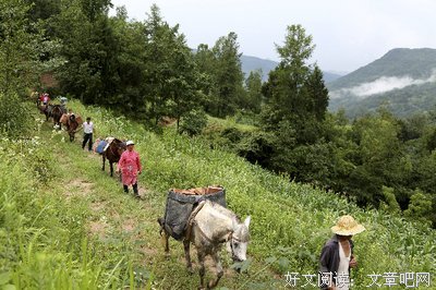 幸福铃声