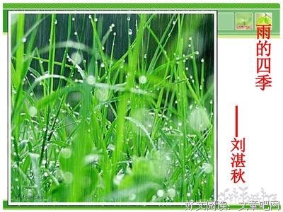 雨的四季