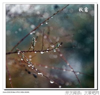一滴，两滴，三四滴