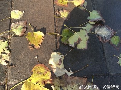 为什么要下好每一场雨