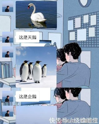  吃货女友的套路