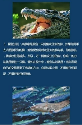  爱情的马太效应