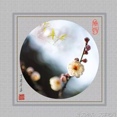  空巢孤独，人的尊严也会丧失干净