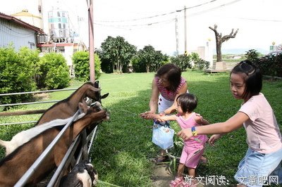  喂食恐惧