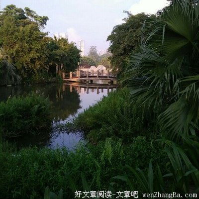 从舒适的麻木中爬出