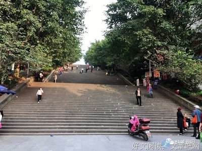 写给青山：等我发觉爱上你的时候，我已经走了一半路了