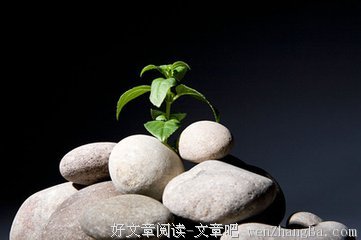 需要成长