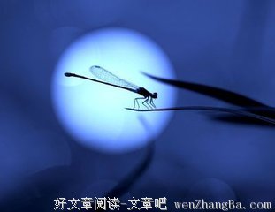 不看月亮