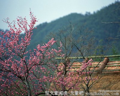古体诗·忆 乡（外二首）