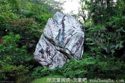 只求生在太平盛世