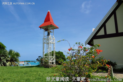 做一朵只和自己相处的睡莲