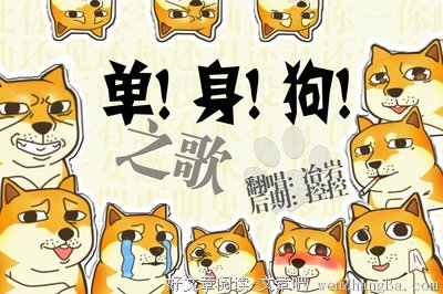 单身之歌