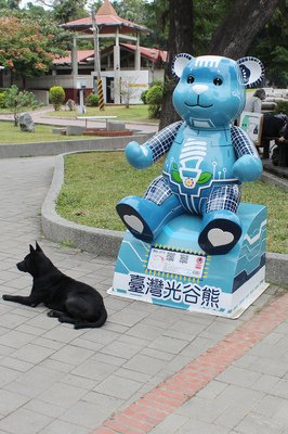 年踪迹一年心