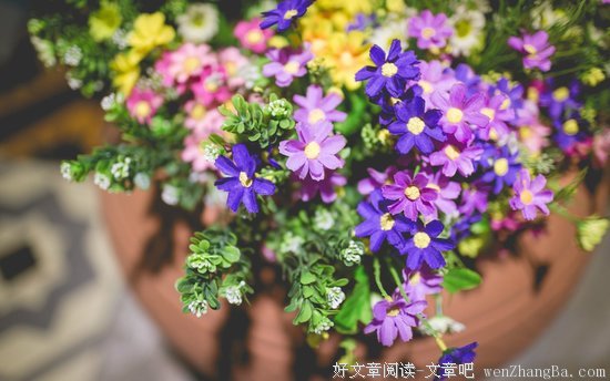 劝降失败后的安然回归