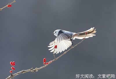 如鲠在喉的想念
