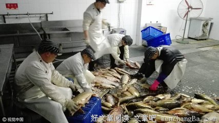 中矿大信控学院召开“青年之声”培训会