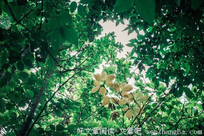 影子与现实