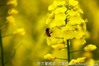 不负好时光