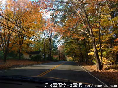 买菜之沿途风景
