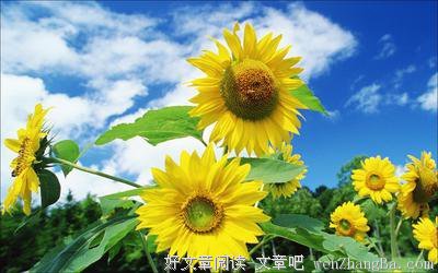 改变自己.