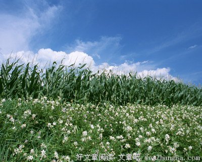不一样的“风景”