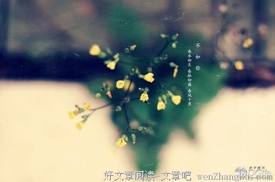 十里春风不如你