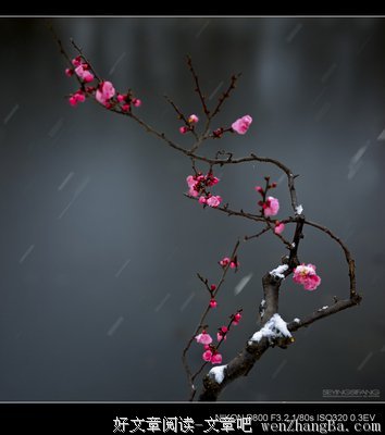 暗香