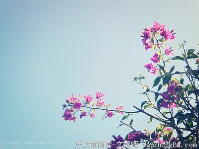 新的一天开始了