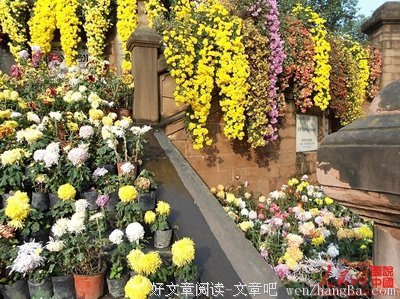 今天太阳出来了