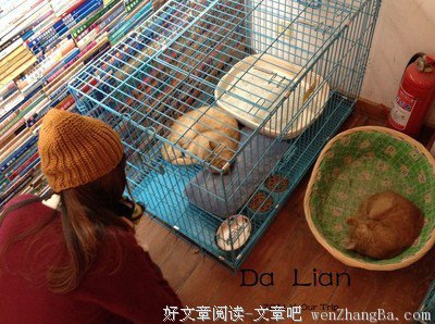 旅途虽结束，回忆却不灭，成长也不停