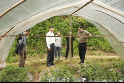 身残志坚队员的回归