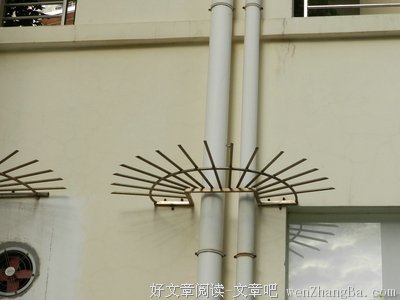 他们在墙外