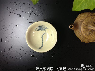 最美的遇见