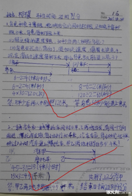 坚持是哪朵花