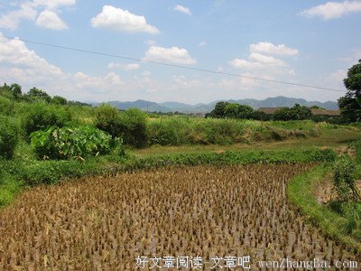 三下乡成长心得