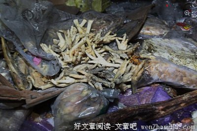 微“教”渐入境