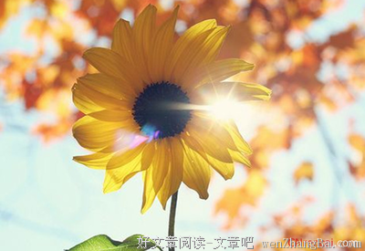 给学生们的“鸡汤”
