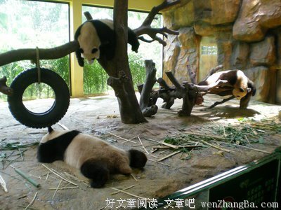 点滴成长