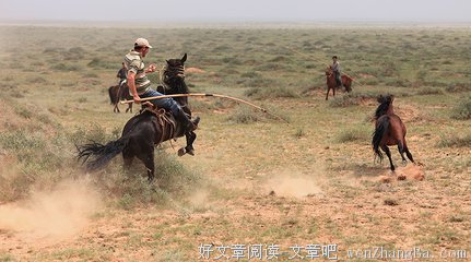 马倌【绝句小说】