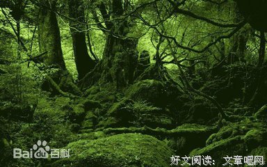 写得不够好，可能是每个字不够贵