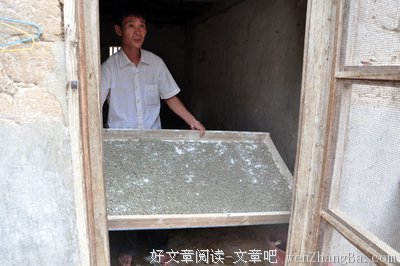 调研采访录之李主任篇